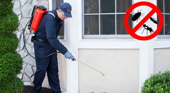 Sarıçam Gümüşkurt İlaçlama böcek ilaçlama ve haşere kontrolü — ilaclama-tr.com